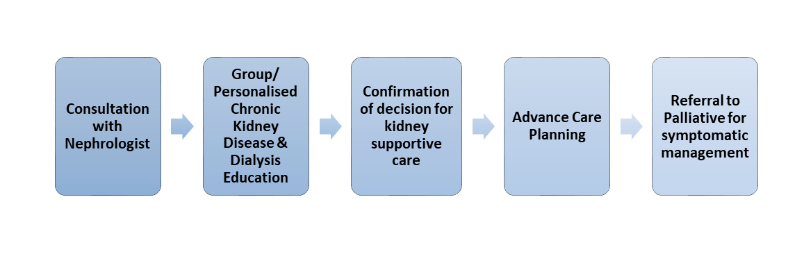 Patient Journey for Kidney Supportive Care